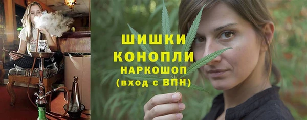 молекула духа Вязьма
