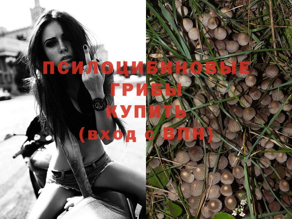 mix Осташков