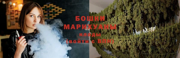 метадон Горнозаводск